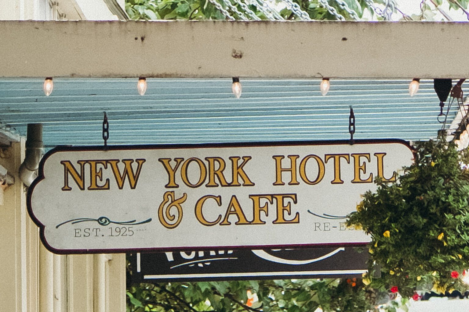 Alaska Coastal Zodiac Expedition in Ketchikan