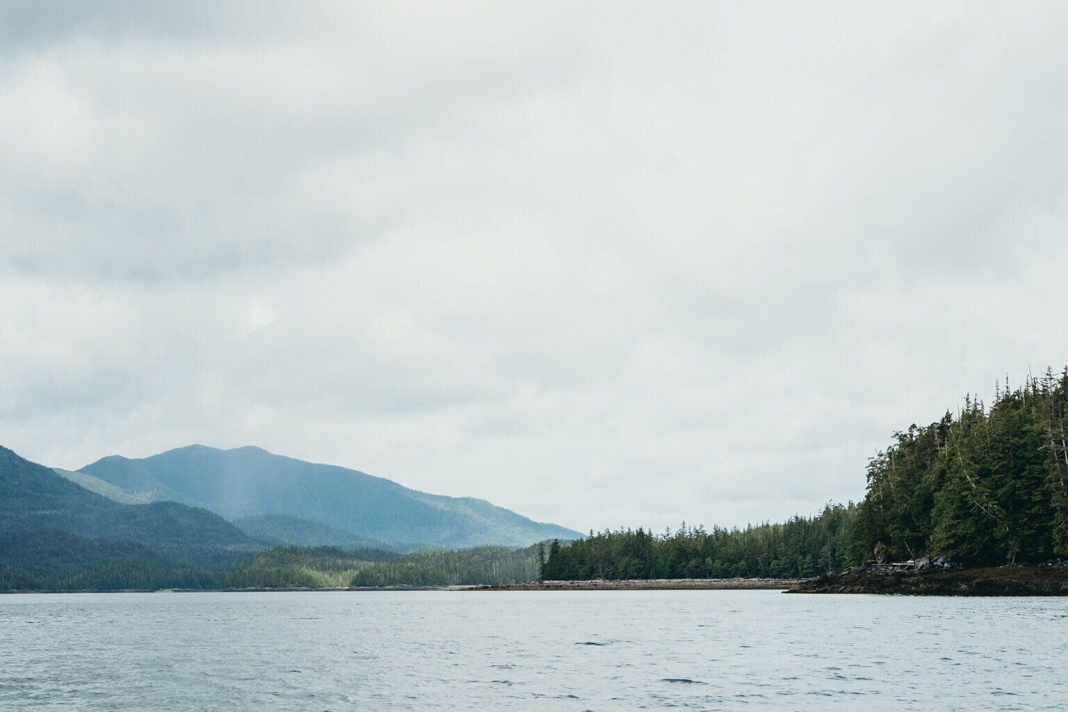 Alaska Coastal Zodiac Expedition in Ketchikan