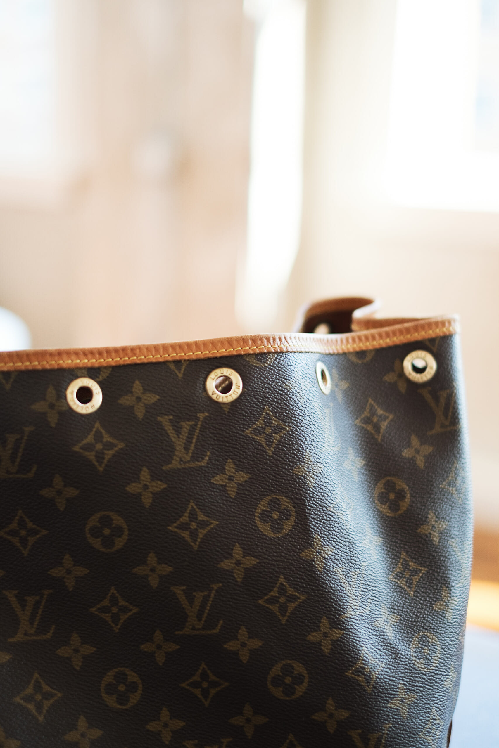 Louis Vuitton Noé How to Restore a Vintage LV Bag What's In My Purse